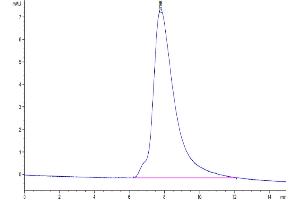 The purity of Biotinylated Human CD47 is greater than 95 % as determined by SEC-HPLC.