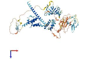 AlphaFold protein structure predicition of Human Recombinant PEG10 Protein, UniprotID Q86TG7