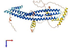 AlphaFold protein structure predicition of Human Recombinant ICA1 Protein, UniprotID Q05084
