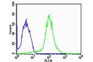 Flow cytometric analysis of MCF-7 cells using FBXL17 Isoform 2 Antibody (C-term)(green, Cat(ABIN1944744 and ABIN2838540)) compared to an isotype control of rabbit IgG(blue).