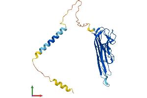 AlphaFold protein structure predicition of Mouse Recombinant Tnf Protein, UniprotID P06804