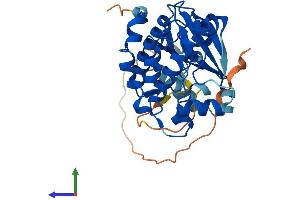 AlphaFold protein structure predicition of Human Recombinant AURKC Protein, UniprotID Q9UQB9