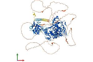 AlphaFold protein structure predicition of Mouse Recombinant Galnt5 Protein, UniprotID Q8C102