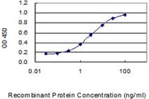 Detection limit for recombinant GST tagged SLC45A4 is 0. (SLC45A4 anticorps  (AA 1-192))