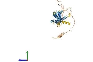 AlphaFold protein structure predicition of Human Recombinant CACNG4 Protein, UniprotID Q9UBN1