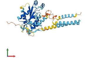 AlphaFold protein structure predicition of Mouse Recombinant Pstk Protein, UniprotID Q8BP74