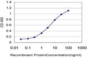 Detection limit for recombinant GST tagged ARAF is approximately 0. (ARAF anticorps  (AA 151-250))