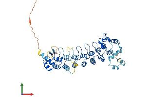 AlphaFold protein structure predicition of Human Recombinant ANKRD61 Protein, UniprotID A6NGH8