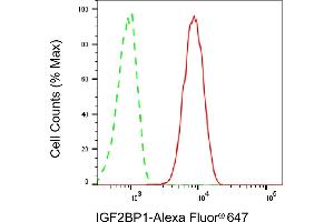 Flow cytometric analysis of IGF2BP1 expression in HT- cells using IGF2BP1 antibody (ABIN7799050), 1:2,000). (Recombinant IGF2BP1 anticorps)