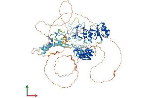 AlphaFold protein structure predicition of Mouse Recombinant Bard1 Protein, UniprotID O70445
