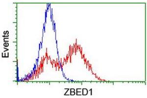 Image no. 2 for anti-Zinc Finger, BED-Type Containing 1 (ZBED1) antibody (ABIN1501795) (ZBED1 anticorps)