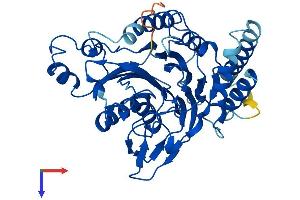 AlphaFold protein structure predicition of Mouse Recombinant Scrn2 Protein, UniprotID Q8VCA8