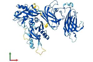 AlphaFold protein structure predicition of Human Recombinant CAPN6 Protein, UniprotID Q9Y6Q1