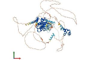 AlphaFold protein structure predicition of Mouse Recombinant Nek4 Protein, UniprotID Q9Z1J2