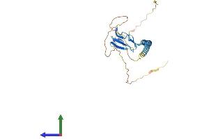 AlphaFold protein structure predicition of Human Recombinant SUSD3 Protein, UniprotID Q96L08