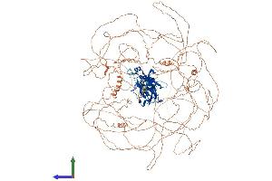 AlphaFold protein structure predicition of Mouse Recombinant Nfat5 Protein, UniprotID Q9WV30