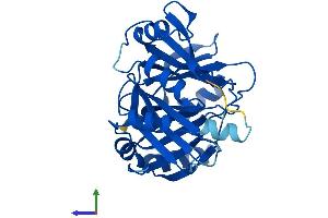 AlphaFold protein structure predicition of Mouse Recombinant Glod4 Protein, UniprotID Q9CPV4