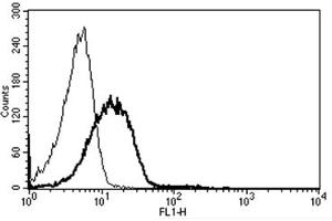 Flow Cytometry (FACS) image for anti-Intercellular Adhesion Molecule 2 (ICAM2) antibody (ABIN1105726) (ICAM2 anticorps)