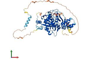 AlphaFold protein structure predicition of Human Recombinant ATE1 Protein, UniprotID O95260