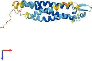 AlphaFold protein structure predicition of Mouse Recombinant Tm4sf4 Protein, UniprotID Q91XD3