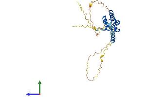 AlphaFold protein structure predicition of Human Recombinant TGIF2 Protein, UniprotID Q9GZN2