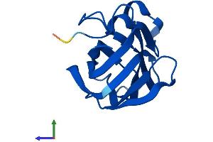 AlphaFold protein structure predicition of Human Recombinant NR2C2AP Protein, UniprotID Q86WQ0