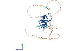 AlphaFold protein structure predicition of Human Recombinant PLEKHA2 Protein, UniprotID Q9HB19