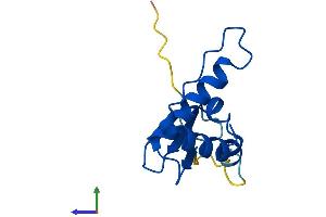 AlphaFold protein structure predicition of Mouse Recombinant Eloc Protein, UniprotID P83940