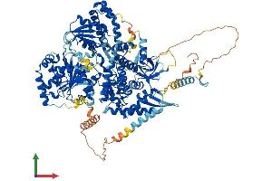 AlphaFold protein structure predicition of Mouse Recombinant Dhx36 Protein, UniprotID Q8VHK9