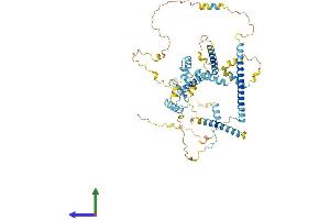 AlphaFold protein structure predicition of Human Recombinant IK Protein, UniprotID Q13123