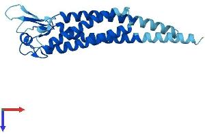 AlphaFold protein structure predicition of Mouse Recombinant Lhfpl3 Protein, UniprotID Q9CTN8