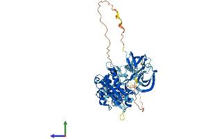 AlphaFold protein structure predicition of Human Recombinant TXK Protein, UniprotID P42681