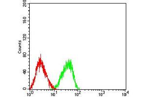 Flow cytometric analysis of HL-60 cells using CD84 mouse mAb (green) and negative control (red).