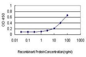 Detection limit for recombinant GST tagged SEPT10 is approximately 1ng/ml as a capture antibody. (Septin 10 anticorps  (AA 1-454))