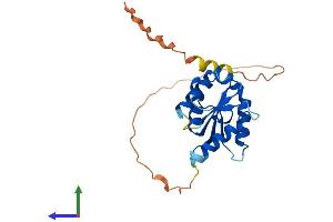 AlphaFold protein structure predicition of Human Recombinant TIRAP Protein, UniprotID P58753