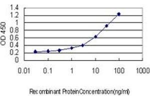 Detection limit for recombinant GST tagged HD is approximately 0.