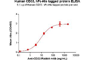 ELISA plate pre-coated by 1 μg/mL (100 μL/well) Human CD33(18-259) Protein, hFc-His Tag(ABIN6961110, ABIN7042249 and ABIN7042250) can bind Anti-CD33 Rabbit mAb in a linear range of 3.