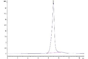 The purity of Biotinylated Human BTLA is greater than 95 % as determined by SEC-HPLC