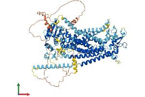 AlphaFold protein structure predicition of Mouse Recombinant Ano3 Protein, UniprotID A2AHL1