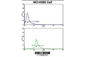 Flow cytometric analysis of NCI-H292 cells using CD201 Antibody (bottom histogram) compared to a negative control cell (top histogram).