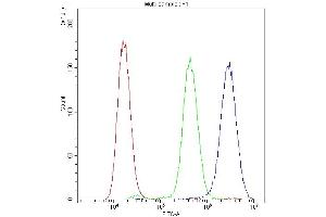 Flow Cytometry analysis of U20S cells using anti-PPID antibody (ABIN5693052). (PPID anticorps  (AA 306-370))