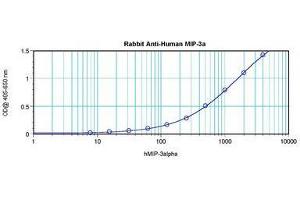 Image no. 3 for anti-Chemokine (C-C Motif) Ligand 20 (CCL20) antibody (ABIN465457) (CCL20 anticorps)