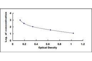 Asymmetrical Dimethylarginine (ADMA) ELISA Kit