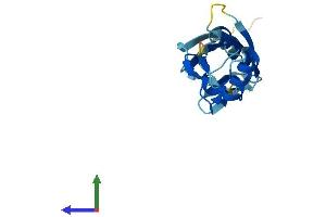 AlphaFold protein structure predicition of Human Recombinant UBD Protein, UniprotID O15205