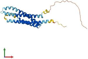 AlphaFold protein structure predicition of Mouse Recombinant Ms4a3 Protein, UniprotID Q920C4
