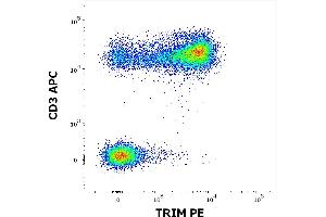 Flow cytometry multicolor surface staining of human lymphocytes using anti-human CD3 (UCHT1) APC antibody (10 μL reagent / 100 μL of peripheral whole blood) and intracellular staining of human lymphocytes using anti-TRIM (TRIM-04) PE antibody (concentration in sample 1 μg/mL).