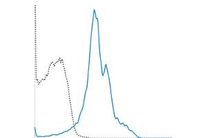 C57Bl/6 splenocytes were stained with 0.