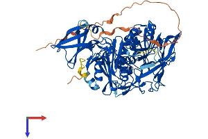 AlphaFold protein structure predicition of Mouse Recombinant Aifm3 Protein, UniprotID Q3TY86