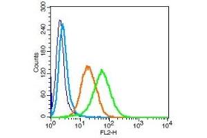 Human U937 cells probed with CD101 Polyclonal Antibody, Unconjugated  (green) at 1:100 for 30 minutes followed by a PE conjugated secondary antibody compared to unstained cells (blue), secondary only (light blue), and isotype control (orange).