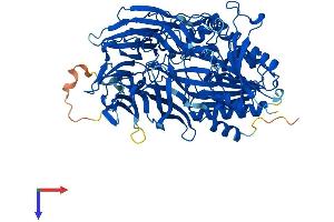 AlphaFold protein structure predicition of Mouse Recombinant Apeh Protein, UniprotID Q8R146